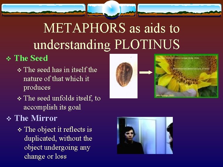 METAPHORS as aids to understanding PLOTINUS v The Seed The seed has in itself