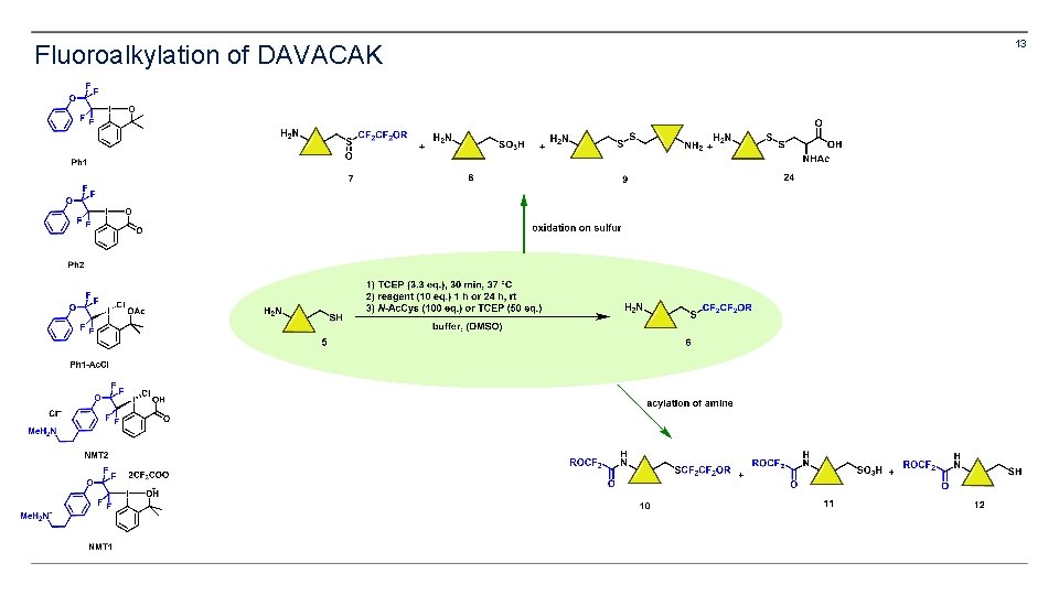 Fluoroalkylation of DAVACAK 13 Fluoroalkylation of DAVACAK 13