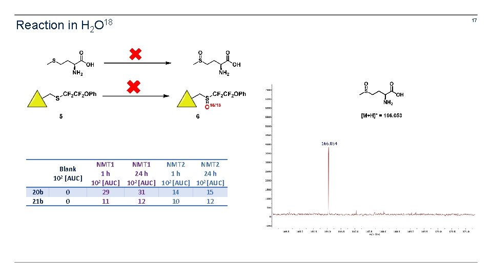 Reaction in H 2 Blank 102 [AUC] 20 b 21 b 0 0 17