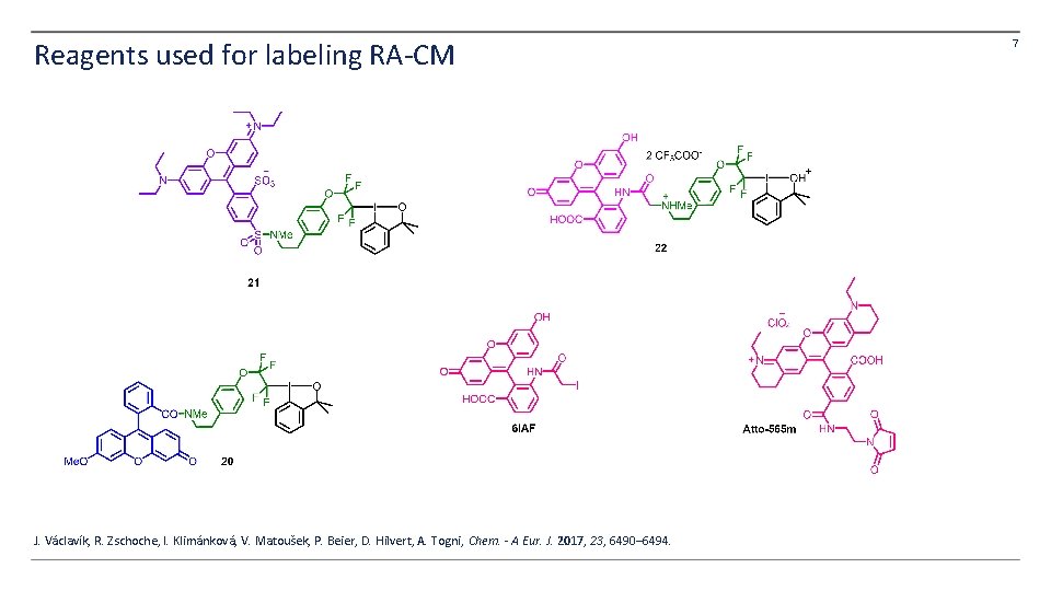 Reagents used for labeling RA-CM J. Václavík, R. Zschoche, I. Klimánková, V. Matoušek, P. Reagents used for labeling RA-CM J. Václavík, R. Zschoche, I. Klimánková, V. Matoušek, P.