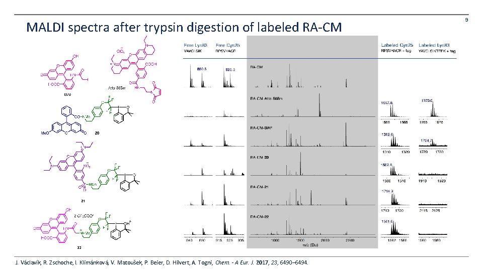 MALDI spectra after trypsin digestion of labeled RA-CM J. Václavík, R. Zschoche, I. Klimánková, MALDI spectra after trypsin digestion of labeled RA-CM J. Václavík, R. Zschoche, I. Klimánková,