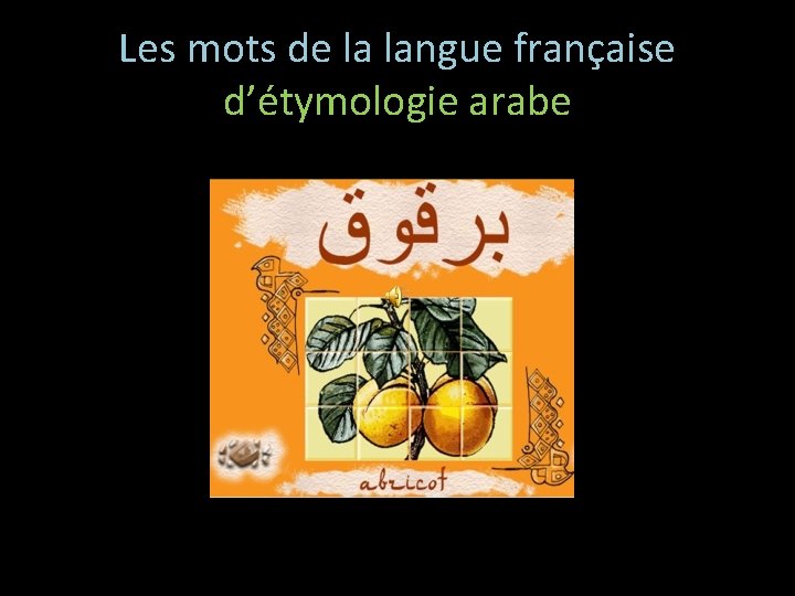 Les mots de la langue française d’étymologie arabe 