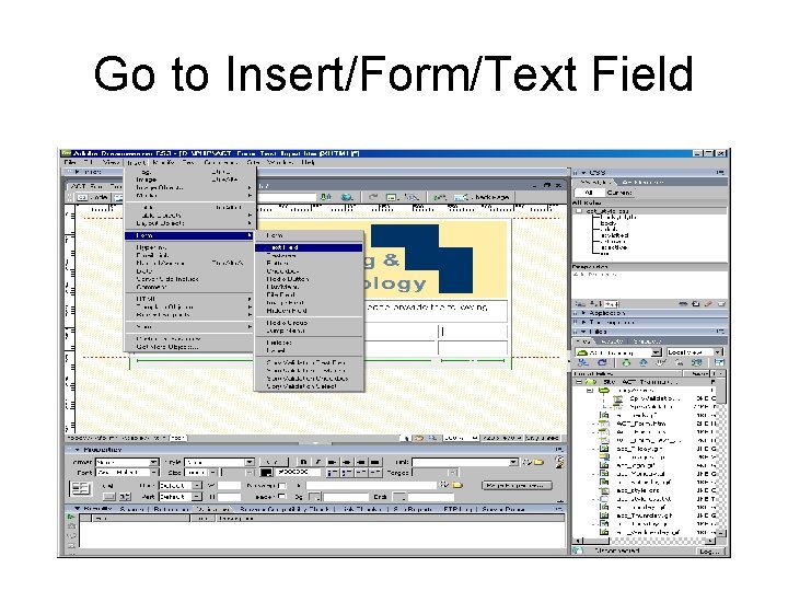 Go to Insert/Form/Text Field 