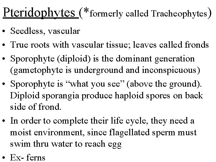 Pteridophytes (*formerly called Tracheophytes) • Seedless, vascular • True roots with vascular tissue; leaves