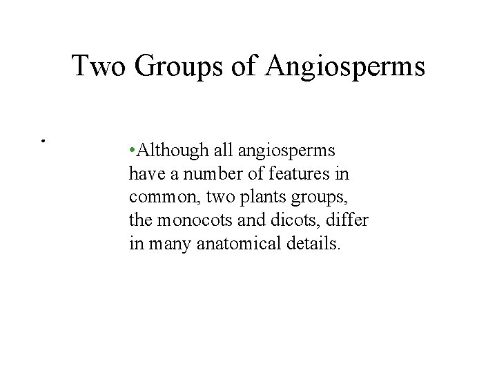 Two Groups of Angiosperms • Although all angiosperms have a number of features in