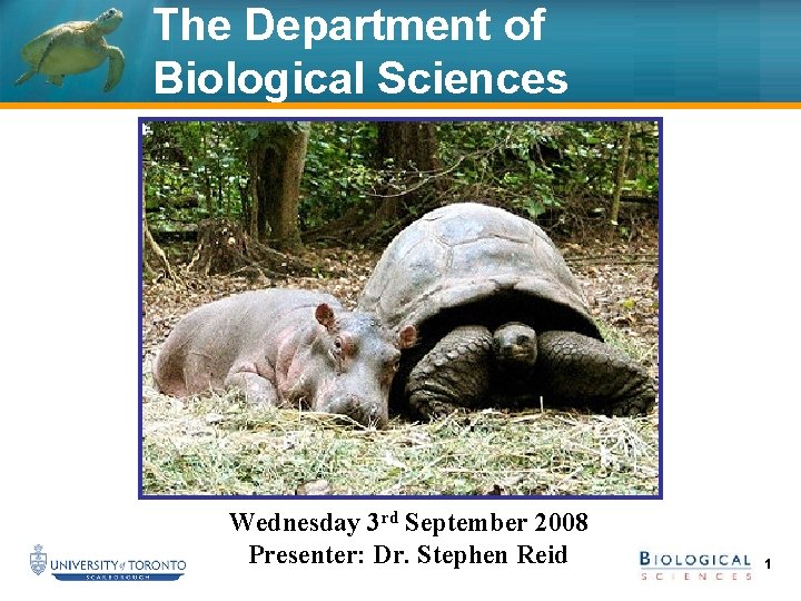 The Department of Biological Sciences Wednesday 3 rd September 2008 Presenter: Dr. Stephen Reid