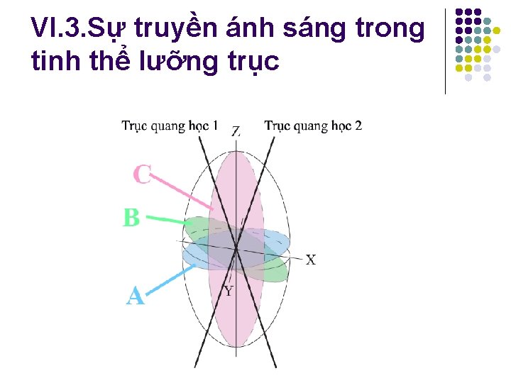 VI. 3. Sự truyền ánh sáng trong tinh thể lưỡng trục VI. 3. Sự truyền ánh sáng trong tinh thể lưỡng trục