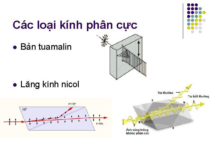 Các loại kính phân cực l Bản tuamalin l Lăng kính nicol Các loại kính phân cực l Bản tuamalin l Lăng kính nicol