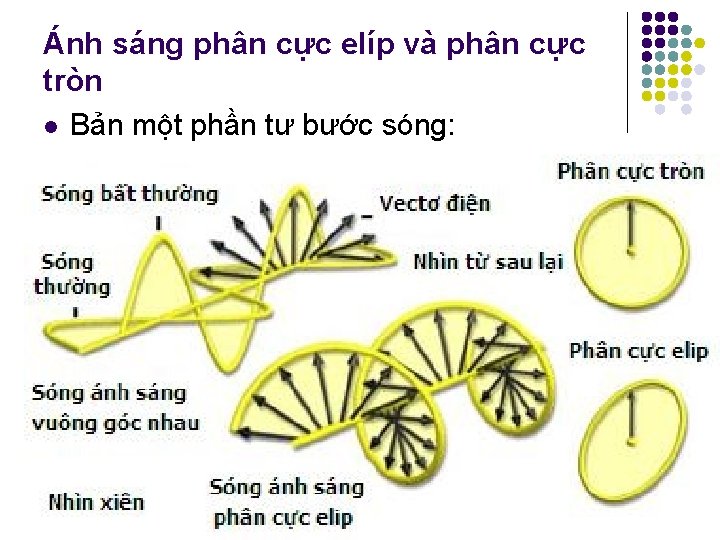 Ánh sáng phân cực elíp và phân cực tròn l Bản một phần tư Ánh sáng phân cực elíp và phân cực tròn l Bản một phần tư