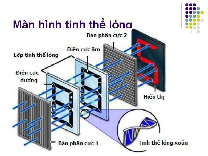 Màn hình tinh thể lỏng Màn hình tinh thể lỏng