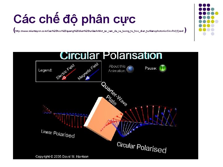 Các chế độ phân cực ( http: //www. mientayvn. com/Cao%20 hoc%20 quang%20 dien%20 tu/Sach/Mot_so_van_de_ve_luong_tu_hoc_dien_tu/Nanophotonic/Circ. Các chế độ phân cực ( http: //www. mientayvn. com/Cao%20 hoc%20 quang%20 dien%20 tu/Sach/Mot_so_van_de_ve_luong_tu_hoc_dien_tu/Nanophotonic/Circ.