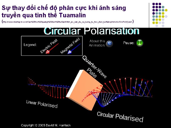 Sự thay đổi chế độ phân cực khi ánh sáng truyền qua tinh thể Sự thay đổi chế độ phân cực khi ánh sáng truyền qua tinh thể