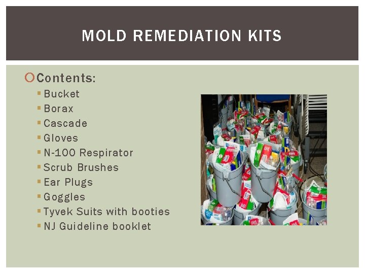 MOLD REMEDIATION KITS Contents: § Bucket § Borax § Cascade § Gloves § N-100 MOLD REMEDIATION KITS Contents: § Bucket § Borax § Cascade § Gloves § N-100