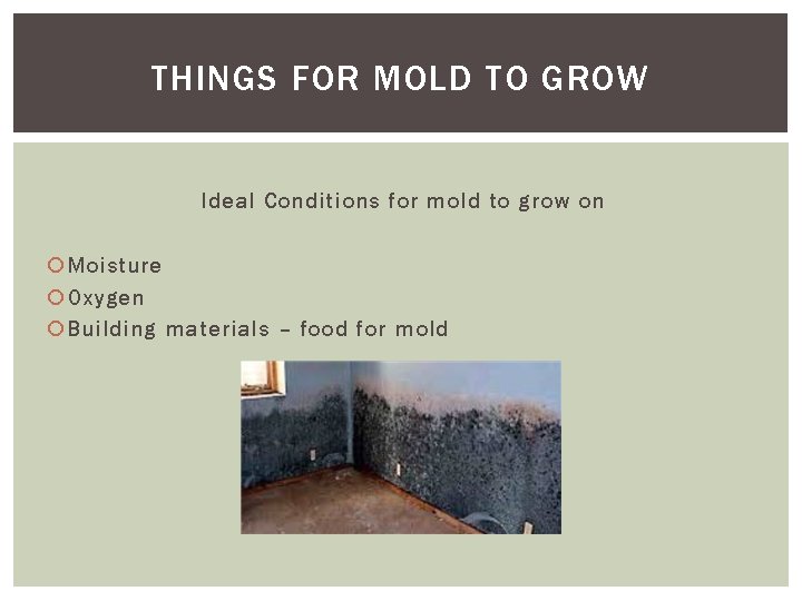THINGS FOR MOLD TO GROW Ideal Conditions for mold to grow on Moisture Oxygen THINGS FOR MOLD TO GROW Ideal Conditions for mold to grow on Moisture Oxygen