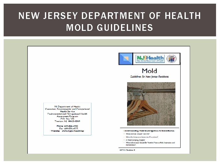 NEW JERSEY DEPARTMENT OF HEALTH MOLD GUIDELINES NEW JERSEY DEPARTMENT OF HEALTH MOLD GUIDELINES
