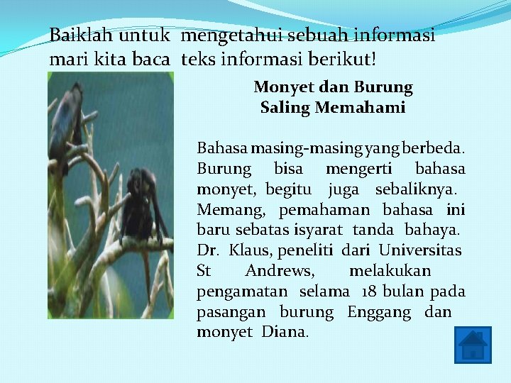 Baiklah untuk mengetahui sebuah informasi mari kita baca teks informasi berikut! Monyet dan Burung