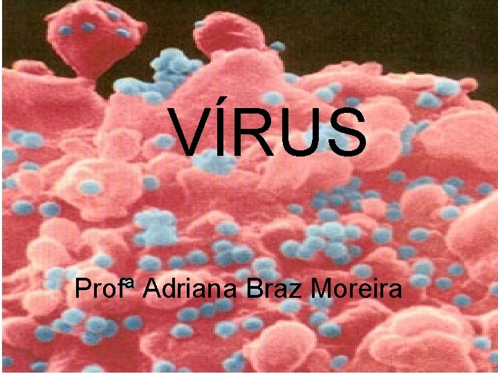VÍRUS Vírus, um grupo a parte. Profª Adriana Braz Moreira VÍRUS Vírus, um grupo a parte. Profª Adriana Braz Moreira