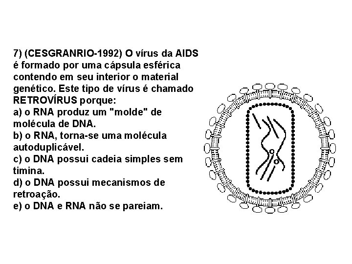 7) (CESGRANRIO-1992) O vírus da AIDS é formado por uma cápsula esférica contendo em 7) (CESGRANRIO-1992) O vírus da AIDS é formado por uma cápsula esférica contendo em