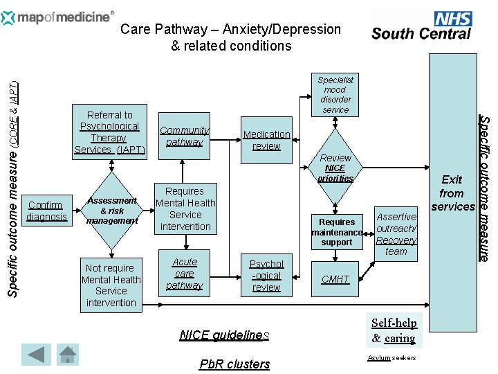 Referral to Psychological Therapy Services (IAPT) Specialist mood disorder service Community pathway Medication review
