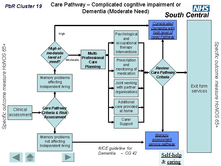 Pb. R Cluster 19 Care Pathway – Complicated cognitive impairment or Dementia (Moderate Need)