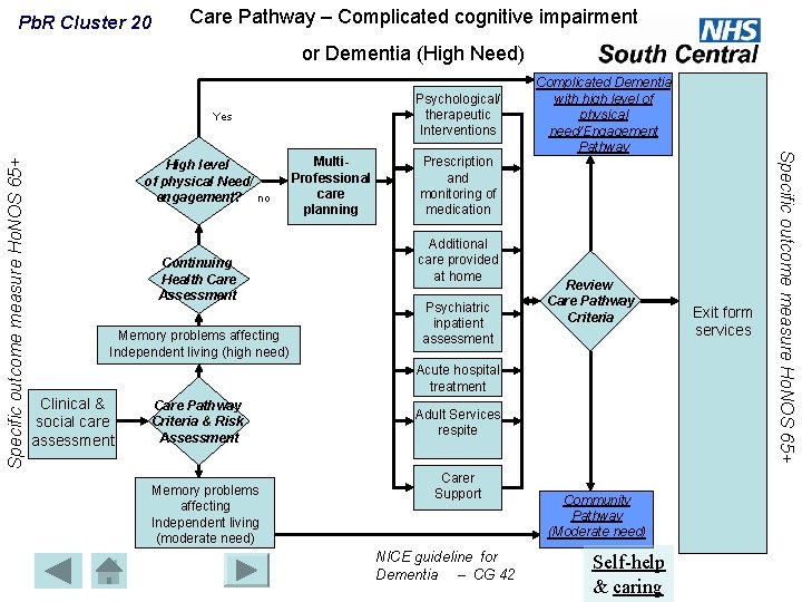 Pb. R Cluster 20 Care Pathway – Complicated cognitive impairment or Dementia (High Need)