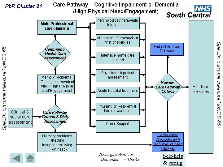 Pb. R Cluster 21 Care Pathway – Cognitive Impairment or Dementia (High Physical Need/Engagement)
