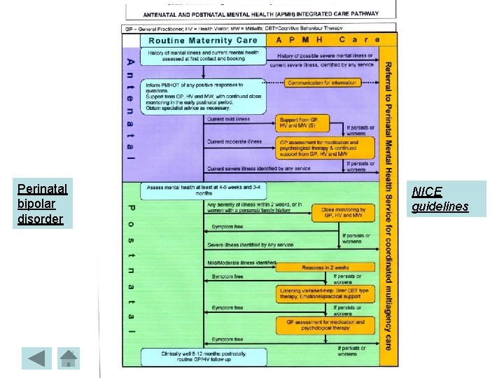 Perinatal bipolar disorder NICE guidelines 
