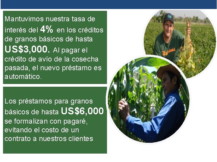 Mantuvimos nuestra tasa de interés del 4% en los créditos de granos básicos de Mantuvimos nuestra tasa de interés del 4% en los créditos de granos básicos de