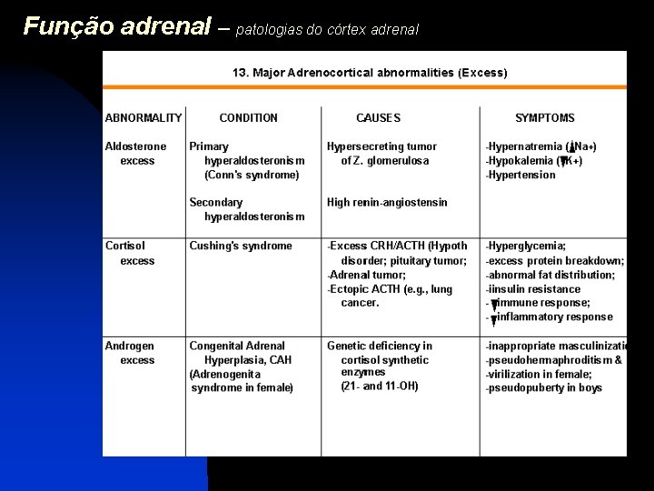 Função adrenal – patologias do córtex adrenal 