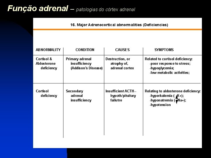 Função adrenal – patologias do córtex adrenal 
