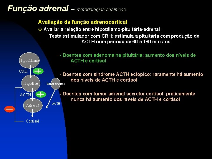 Função adrenal – metodologias analíticas Avaliação da função adrenocortical v Avaliar a relação entre