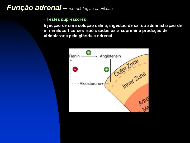 Função adrenal – metodologias analíticas - Testes supressores Injecção de uma solução salina, ingestão