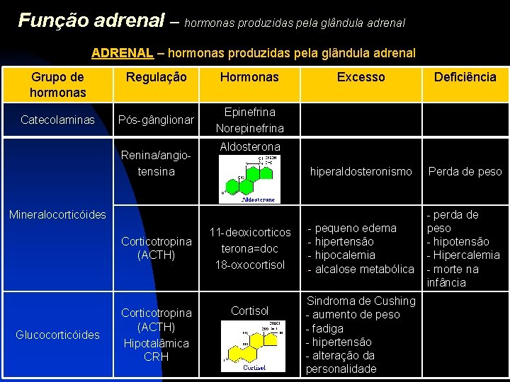 Função adrenal – hormonas produzidas pela glândula adrenal ADRENAL – hormonas produzidas pela glândula