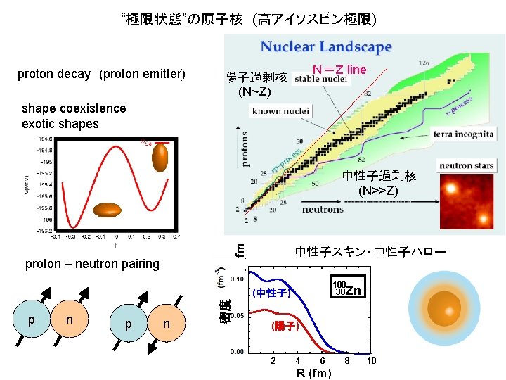“極限状態”の原子核　(高アイソスピン極限) proton decay　(proton emitter) Ｎ＝Ｚ line 陽子過剰核 (N~Z) shape coexistence exotic shapes p n