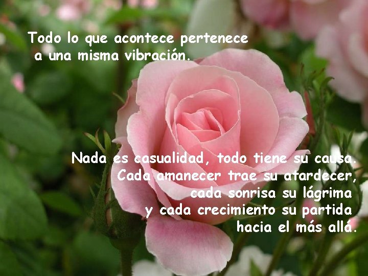 Todo lo que acontece pertenece a una misma vibración. Nada es casualidad, todo tiene