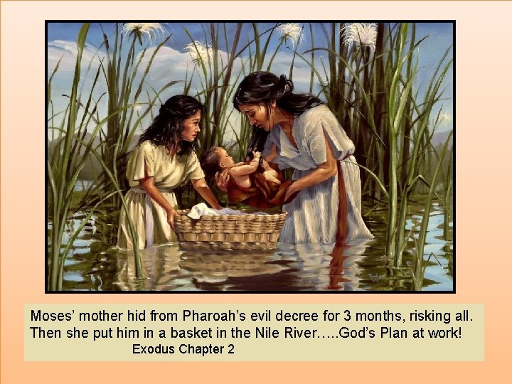 Moses’ mother hid from Pharoah’s evil decree for 3 months, risking all. Then she