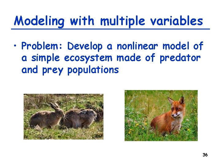 Modeling with multiple variables • Problem: Develop a nonlinear model of a simple ecosystem