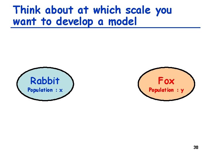 Think about at which scale you want to develop a model Rabbit Population :