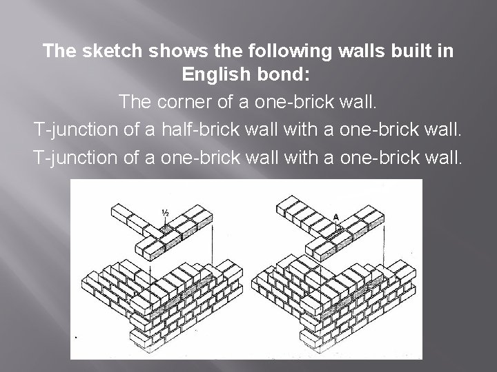  The sketch shows the following walls built in English bond: The corner of