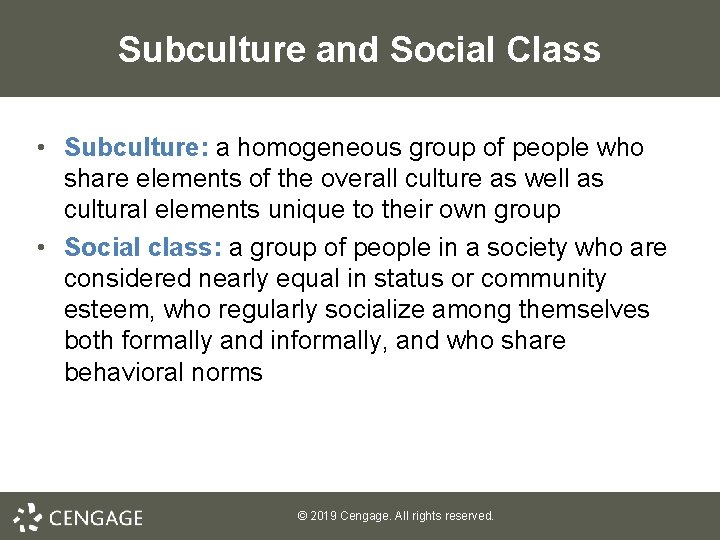 Subculture and Social Class • Subculture: a homogeneous group of people who share elements