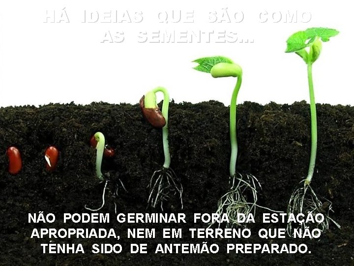 HÁ IDEIAS QUE SÃO COMO AS SEMENTES. . . NÃO PODEM GERMINAR FORA DA