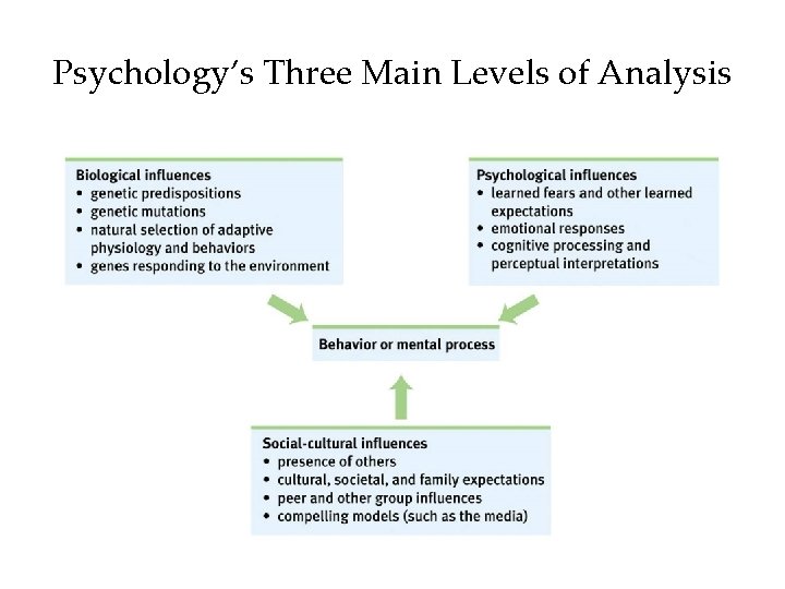 Psychology’s Three Main Levels of Analysis 