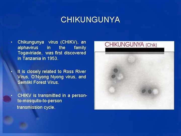 CHIKUNGUNYA • Chikungunya virus (CHIKV), an alphavirus in the family Togaviriade, was first discovered