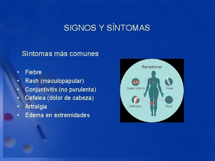 SIGNOS Y SÍNTOMAS Síntomas más comunes • • • Fiebre Rash (maculopapular) Conjuntivitis (no