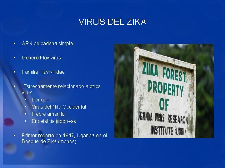 VIRUS DEL ZIKA • • ARN de cadena simple • Familia Flaviviridae • Estrechamente