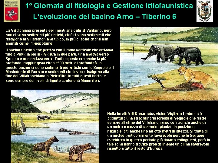 1° Giornata di Ittiologia e Gestione Ittiofaunistica L'evoluzione del bacino Arno – Tiberino 6