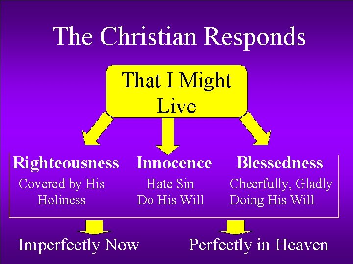 The Christian Responds That I Might Live Righteousness Innocence Covered by His Holiness Hate