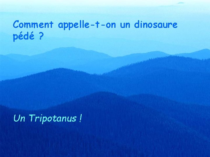 Comment appelle-t-on un dinosaure pédé ? Un Tripotanus ! 