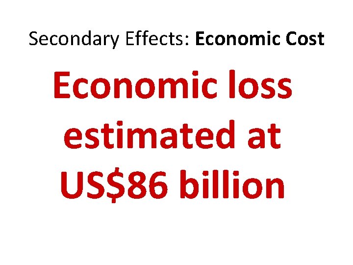 Secondary Effects: Economic Cost Economic loss estimated at US$86 billion 