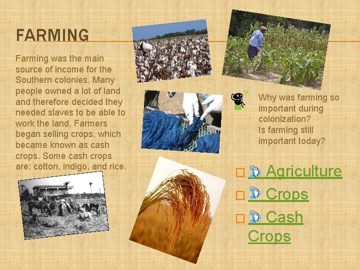 FARMING Farming was the main source of income for the Southern colonies. Many people